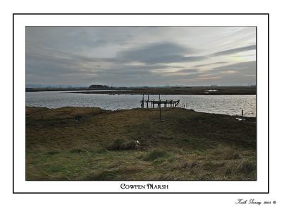 Cowpwn Marsh - Seal Sands