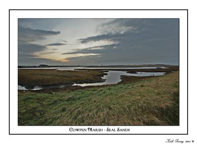 Cowpen Marsh