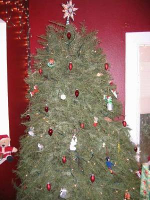 IMG_1482.jpg
