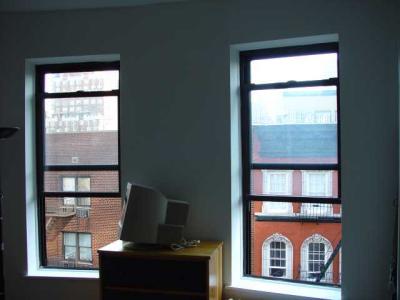 Fiona's World View