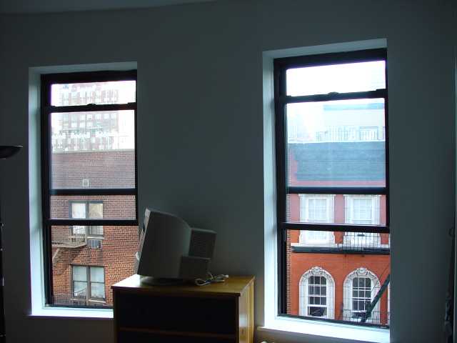 Fionas World View