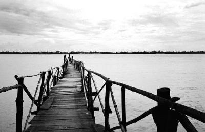 Wooden Jetty of Mekong Delta