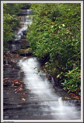 Angel Falls - Head on - IMG_0729.jpg