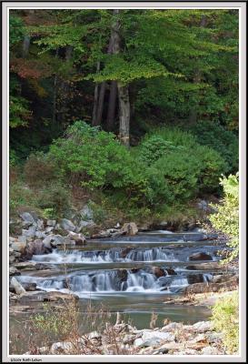 Toccoa Falls Down Stream 2 - IMG_0826.jpg