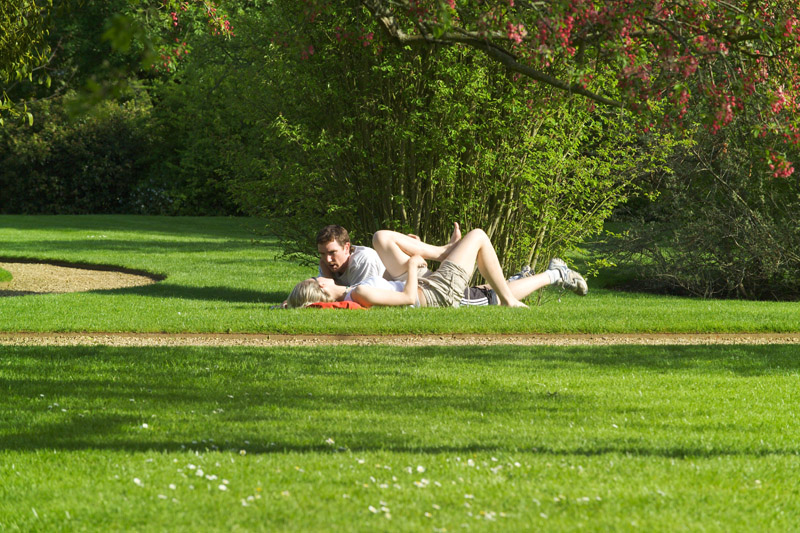 Lovers (its Spring!) by Flick Merauld