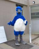 Tabitha as the Blue Goose