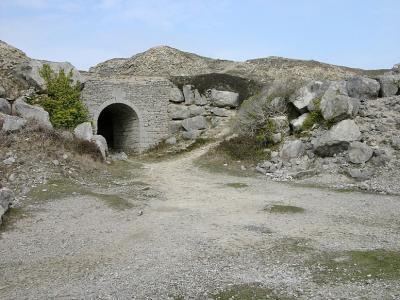 P1010433.jpg