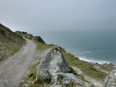 P1010446.jpg