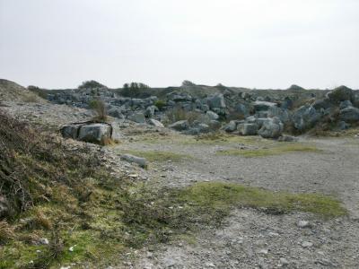 P1010476.jpg