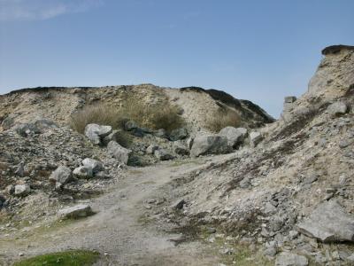 P1010477.jpg