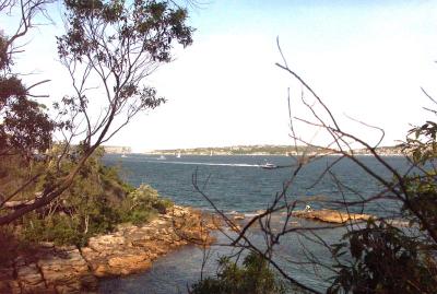 View from Chowder Head