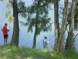 Fishing near the weir