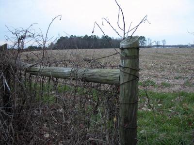 Fence on Hwy 33, near Winterville