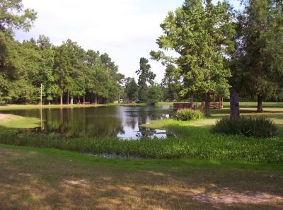 Picture_0496.JPG