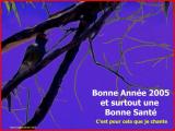 je chante
