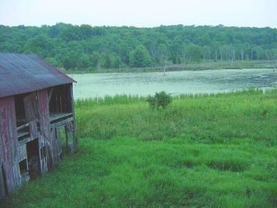from the barn: lower barn & beaver pond