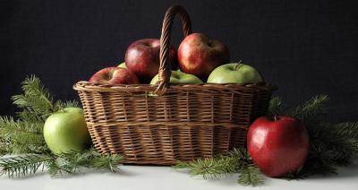 u11/lecook/medium/37982862.APPLEBASKET_0131.jpg