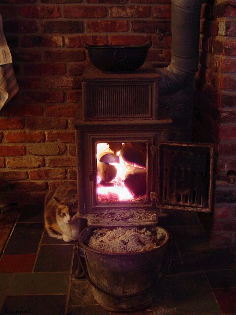 cat warming by the woodstove
