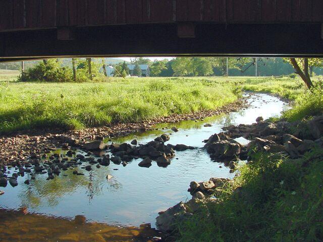 beneath the bridge