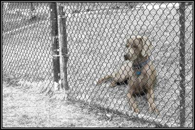 Can I come out now?
