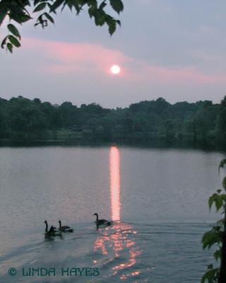 Wilde Lake Sunset 642