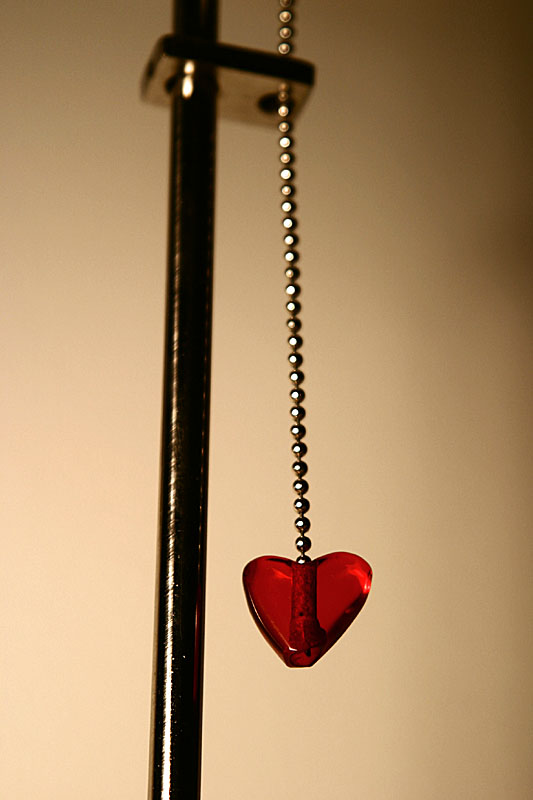 31st March 2005 - heart on a wire