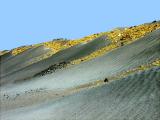 Golden Dune