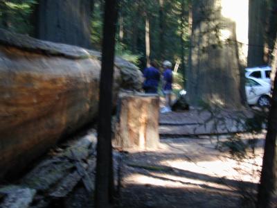 DSCN1804.JPG