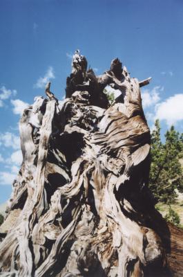 Hiking in the Sierra Nevadas