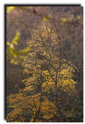 DSC_0091.jpg