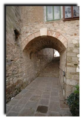 arqu_petrarca_0124.jpg