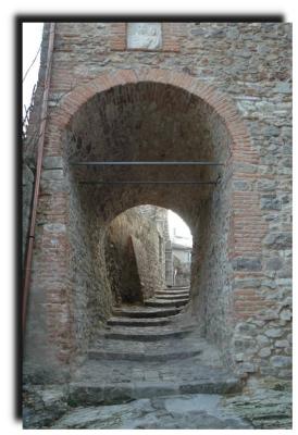 arqu_petrarca_0143.jpg