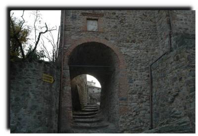 arqu_petrarca_0144.jpg
