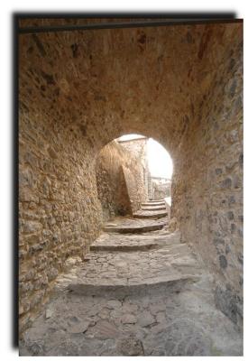 arqu_petrarca_0148.jpg