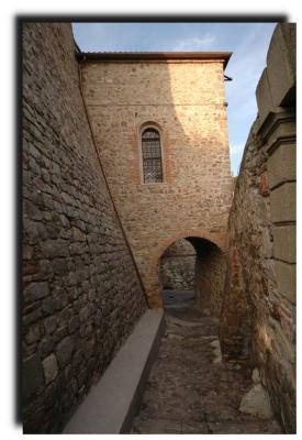 arqu_petrarca_0149.jpg