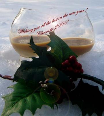 u11/lrolfe/medium/38100805.cheersto2005.jpg