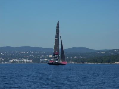 A day on the fjord