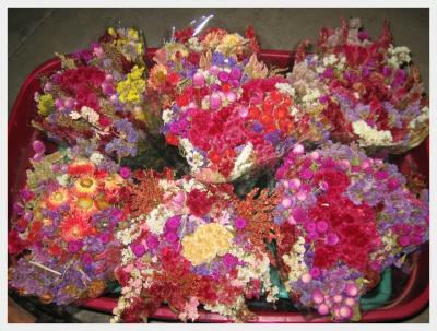 Hmong Dried Flowers