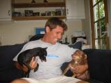 home in san diego with the [fighting] dogs