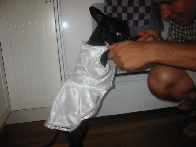 betties first birthday dance