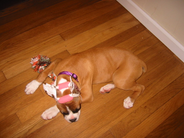 emma passed out