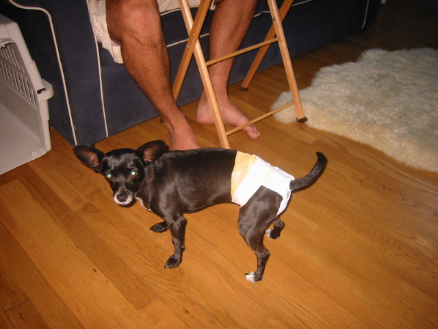 106-0616_IMG.JPG