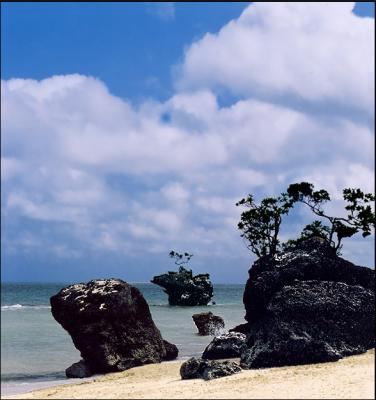 Rocks on the seashore