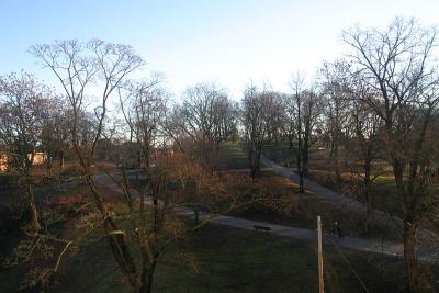 Dec 31: The sun is shining, but the spirit is low. This will be an unusual New Year