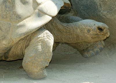 u11/markay/medium/3841097.tort.jpg