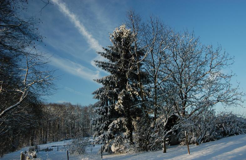 Dsc_5043.jpg