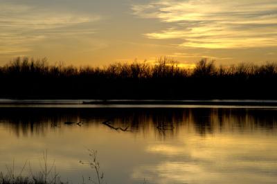 Nature Photos
