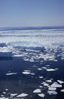 Old bergs from the air