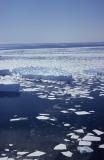 Old bergs from the air