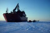Mawson ice edge fly off